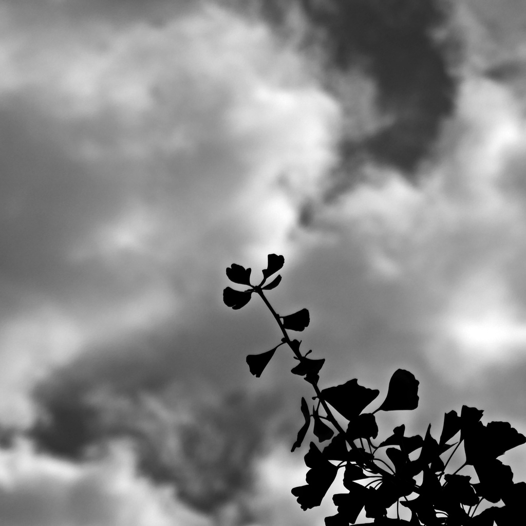P1060332