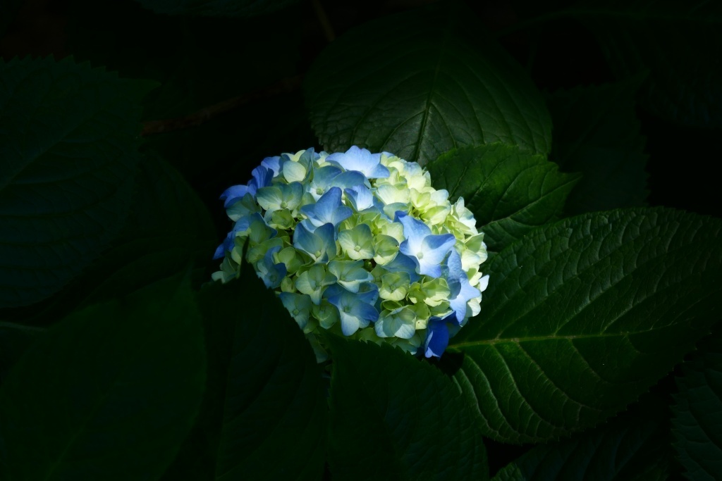 P1280891