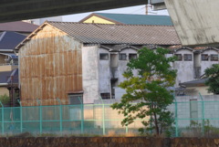 P1360185