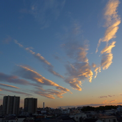 雲