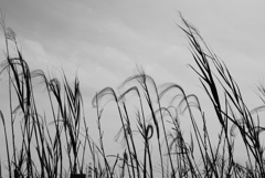 P1380248