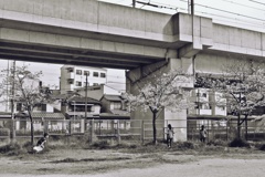 虫捕り (1)