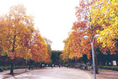 公園入口