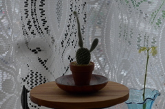 P1190591