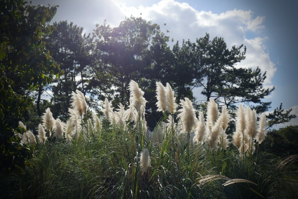 P1300209