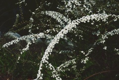 P1410609