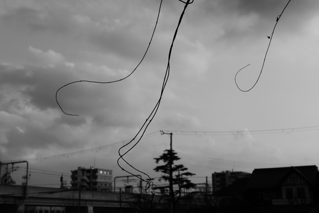 ビヨヨォ～ン (6)