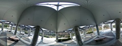 R0010290