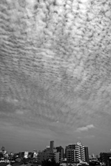 細かい雲