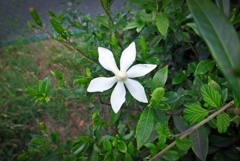P1350782