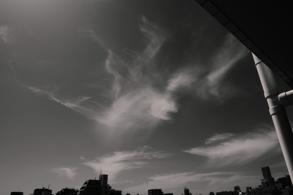 P1320905