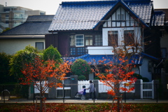 P1070456