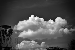 P1290892