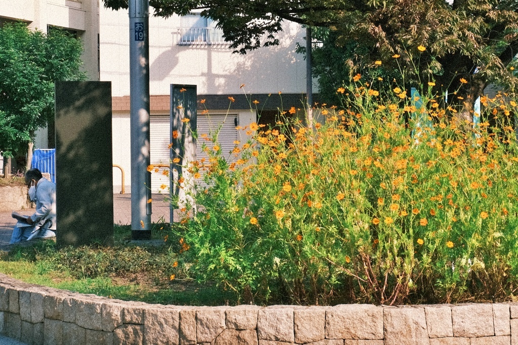 秋のひととき