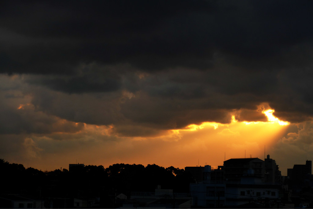 夕光2