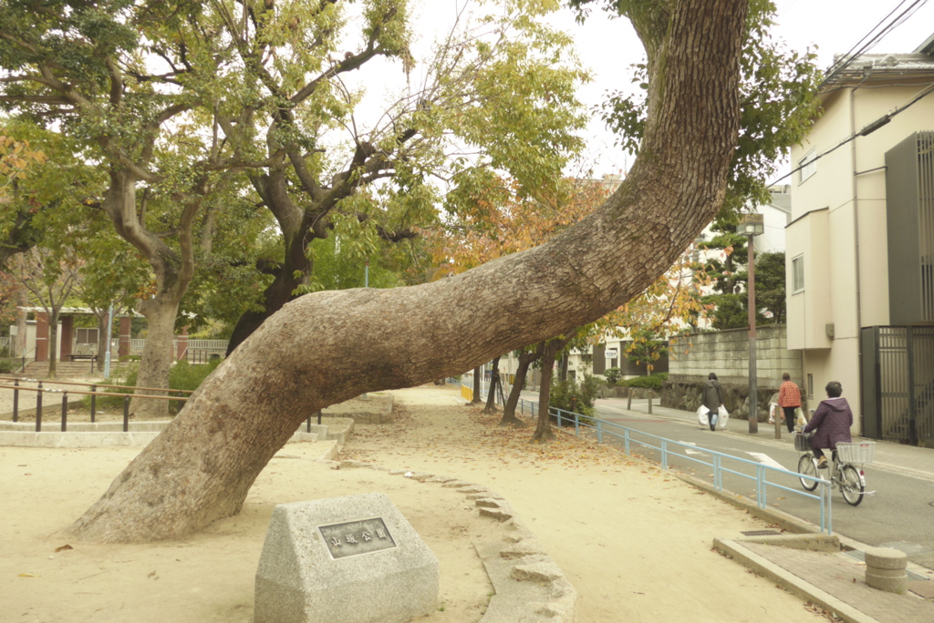 日常 (7)