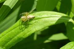 P1120620