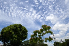 P1000716