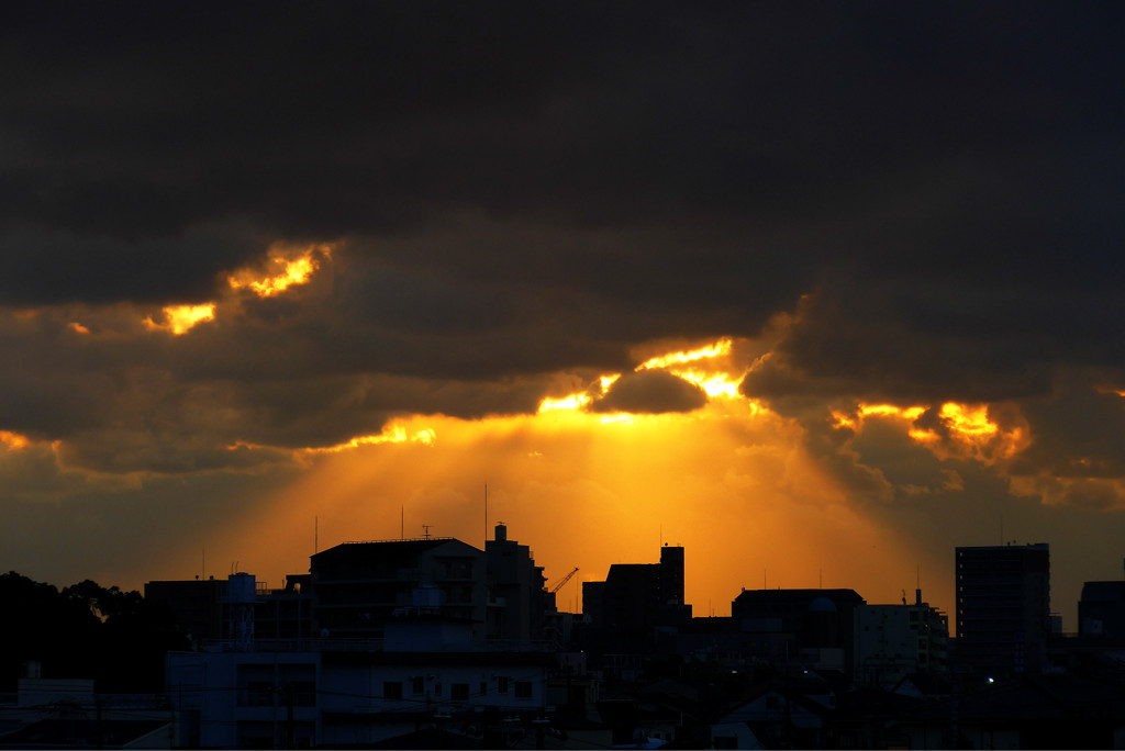 夕光