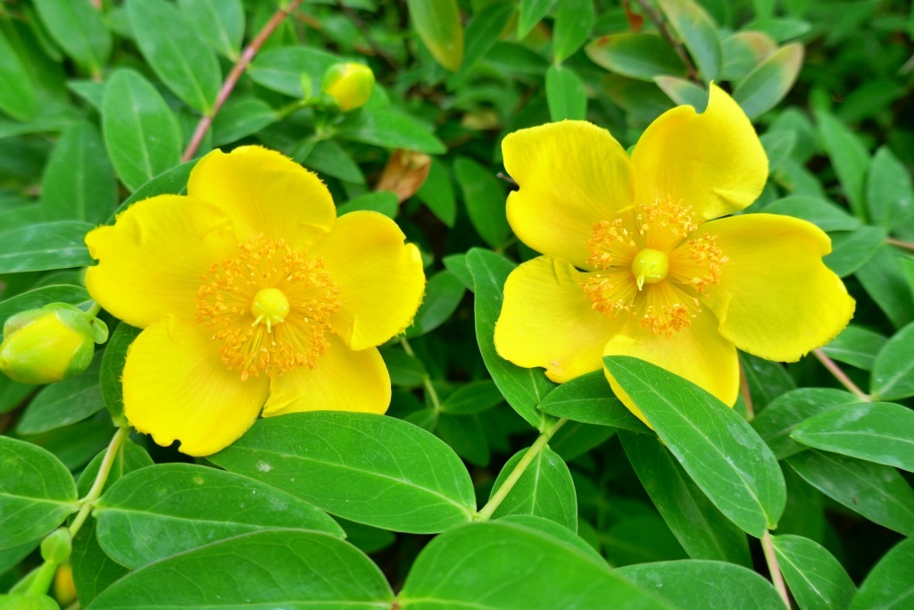 P1280729