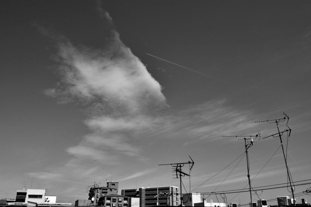 P1320307