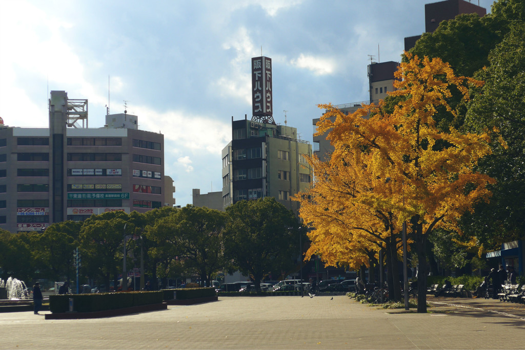 公園8