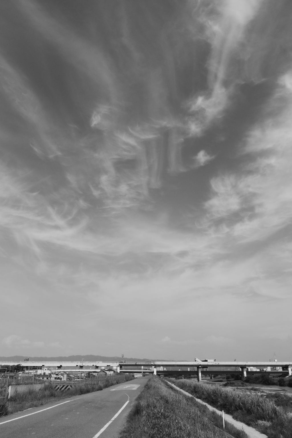 P1350368