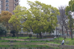 P1380310