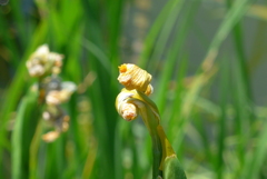 P1350280