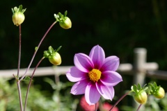P1300322