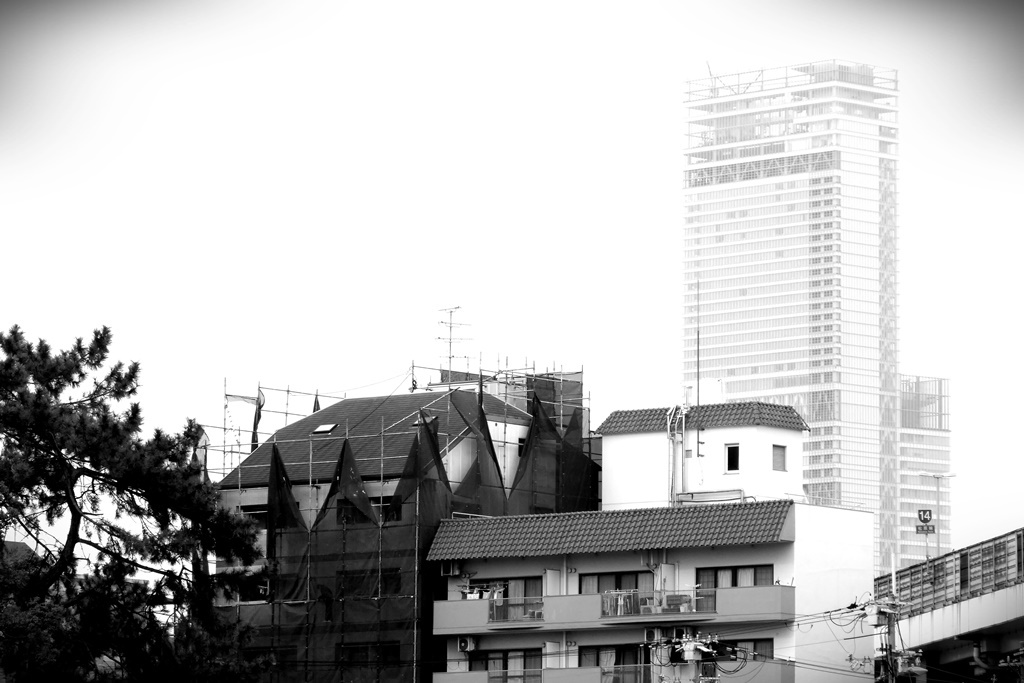 P1110450