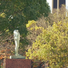 P1160840