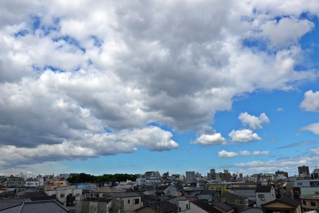 P1210451