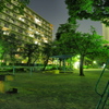 給水塔の見える夜の公園の風景