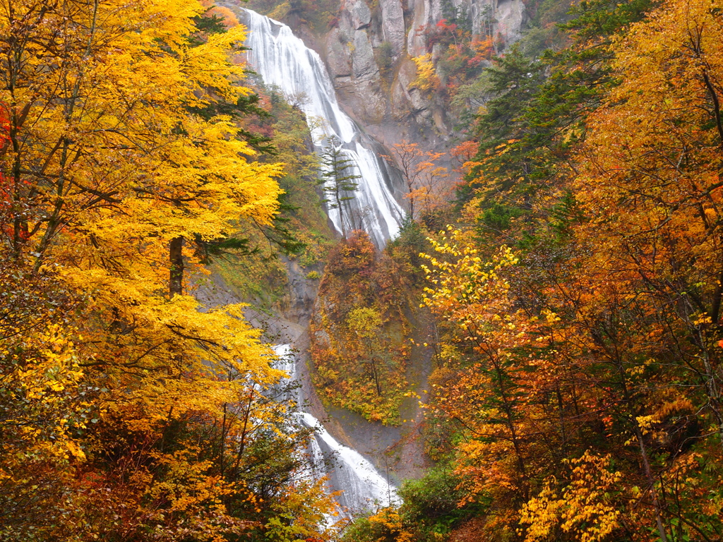 天人峡の紅葉 （2011年秋）
