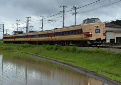 曇天の中を行く381系