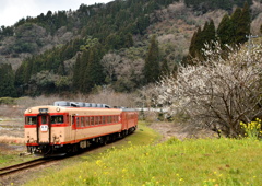 早春賦・房総半島横断の旅Ｎｏ７