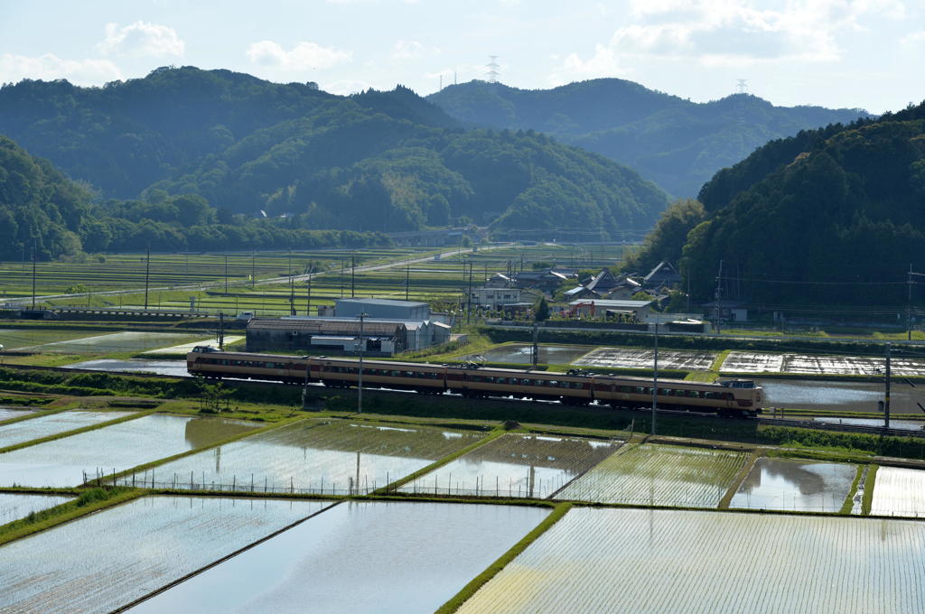逆光気味の空のもと水田地帯を行く381系