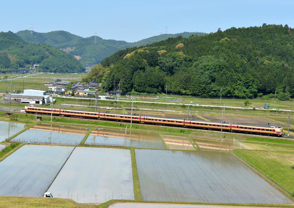 新緑の中を行く381系２