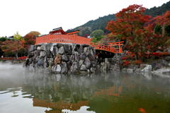 紅葉と人工物の紅のコラボＮｏ２