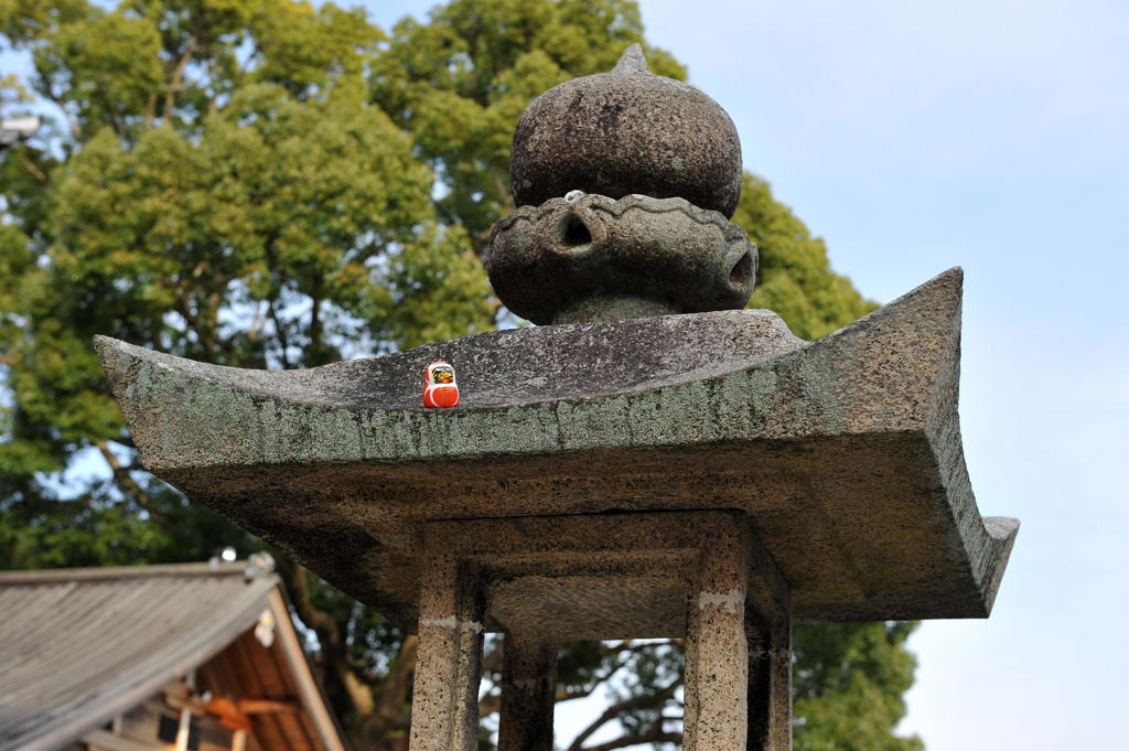 一人孤高のダルマ