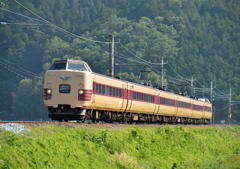 新緑の中を行く381系