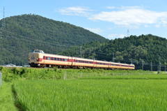 381系ラストサマー