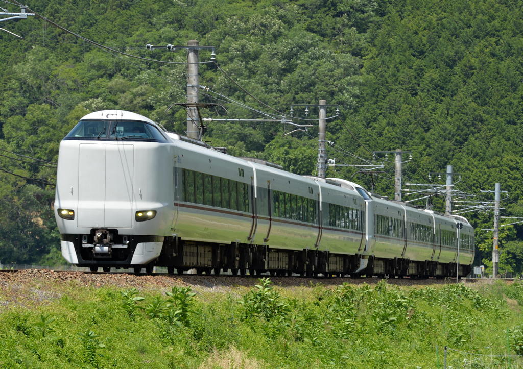 287系が初夏の田園風景を行く