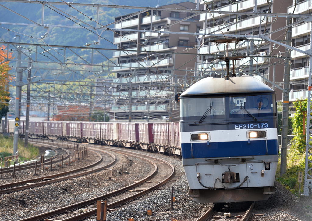 ニーナ前桃狩りNo4