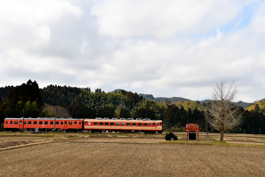 早春賦・房総半島横断の旅Ｎｏ５