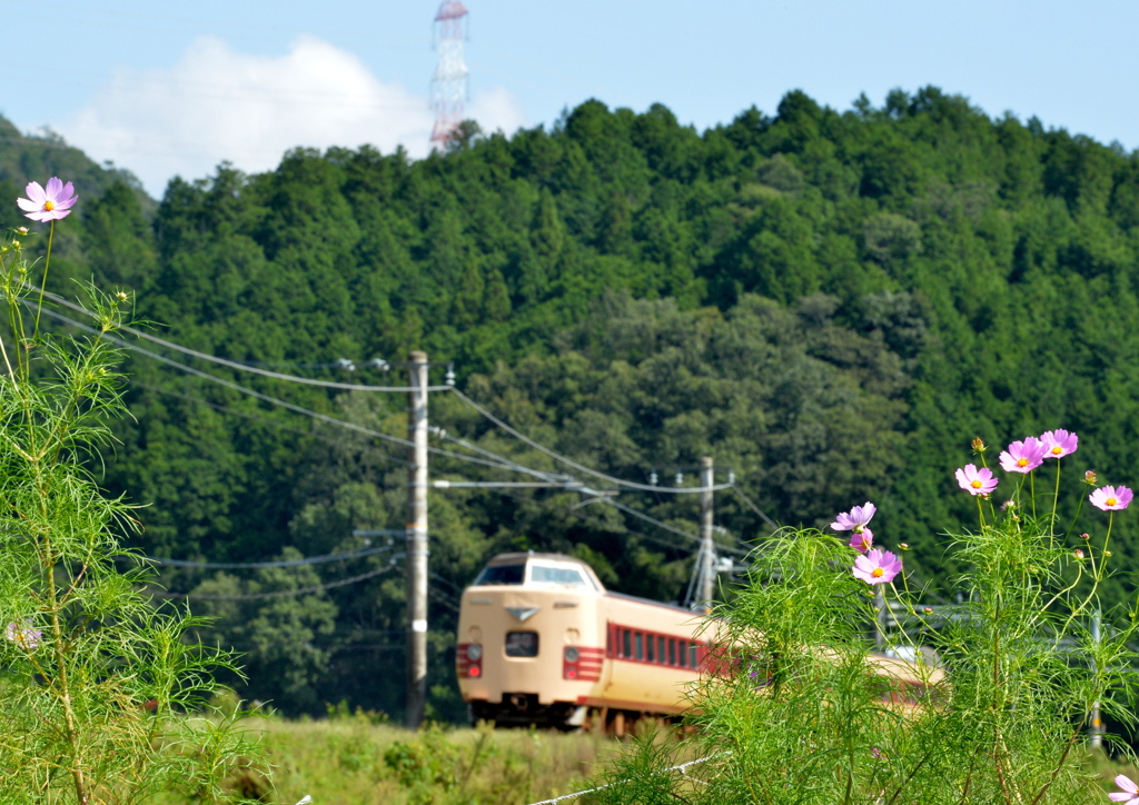 秋の風景を行くNo2