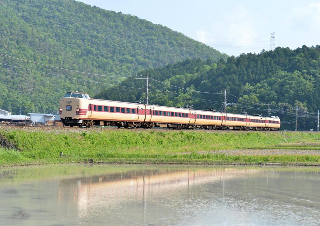 ３８１系と水田