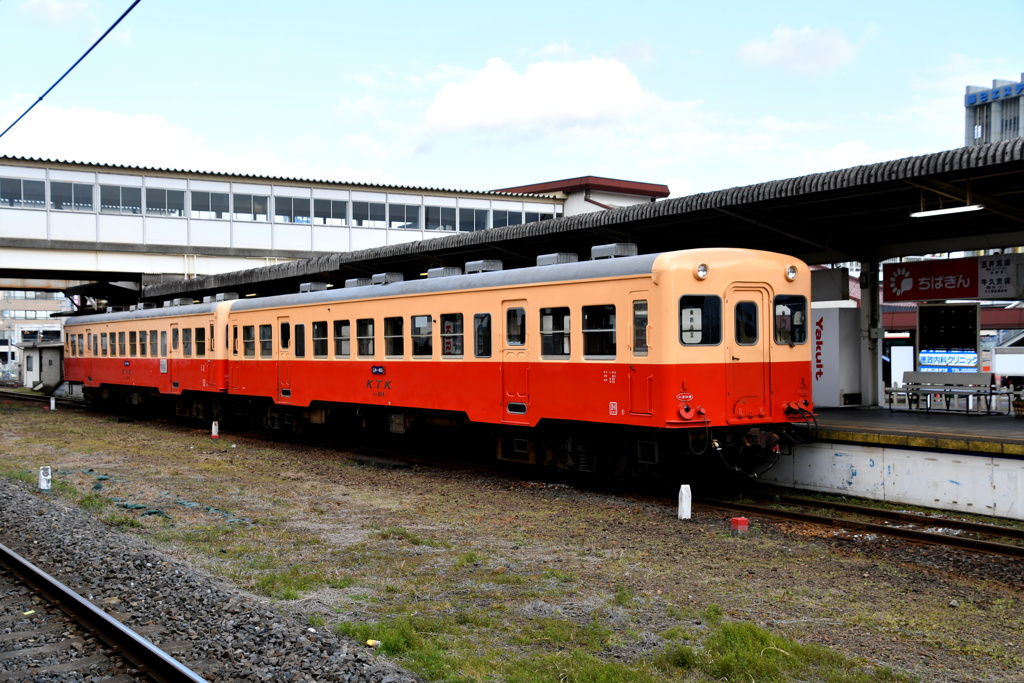 早春賦・房総半島横断の旅Ｎｏ１６