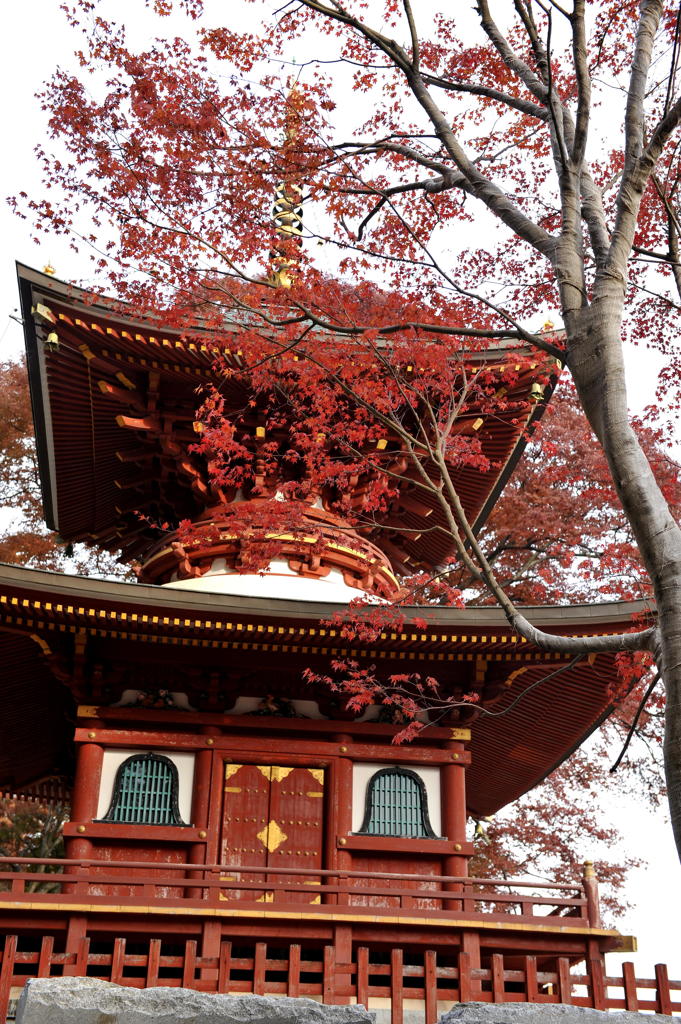 紅葉と人工物の紅のコラボ